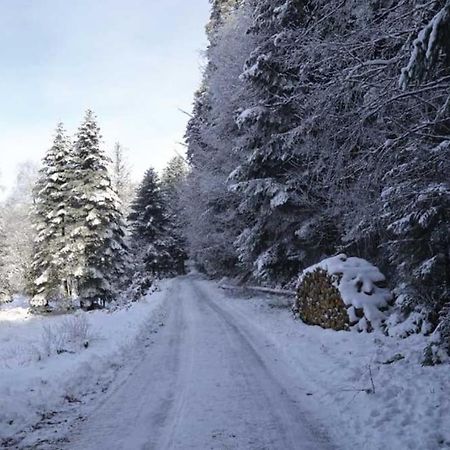 Gite Hansel De La Ferme Du Schneeberg Wangenbourg-Engenthal Dış mekan fotoğraf
