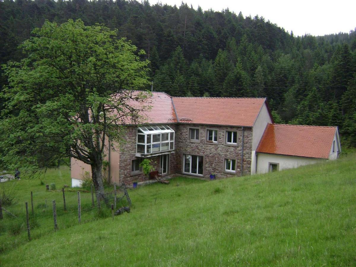 Gite Hansel De La Ferme Du Schneeberg Wangenbourg-Engenthal Dış mekan fotoğraf