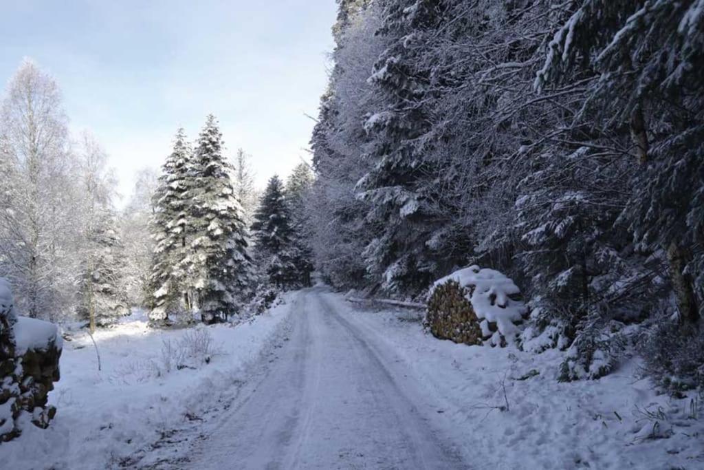 Gite Hansel De La Ferme Du Schneeberg Wangenbourg-Engenthal Dış mekan fotoğraf