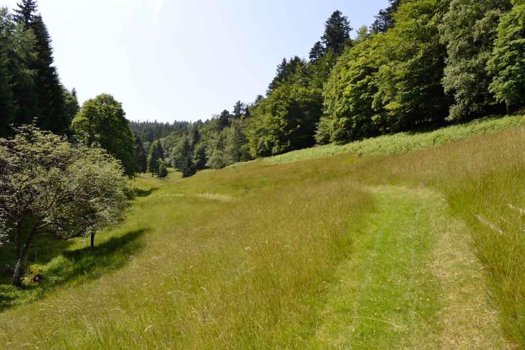 Gite Hansel De La Ferme Du Schneeberg Wangenbourg-Engenthal Dış mekan fotoğraf